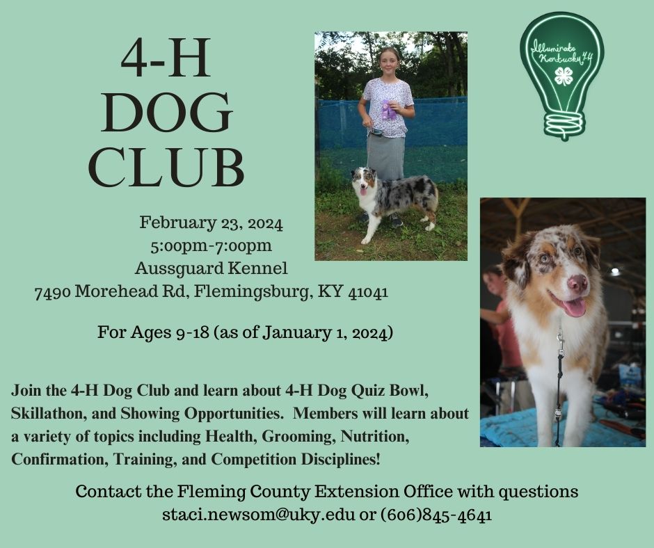 2024 4-H Dog Club flyer